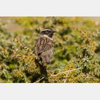 4796 x 3198_Px _RM_140514_MG_1121.jpg