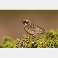 4797 x 3198_Px _RM_140515_MG_1443.jpg