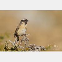 5014 x 3343_Px _RM_140514_MG_1112.jpg