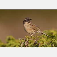 5028 x 3352_Px _RM_140515_MG_1450.jpg