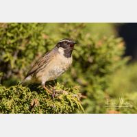 5184 x 3456_Px _RM_140514_MG_1042.jpg