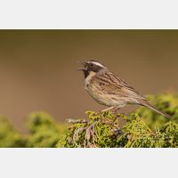 5184 x 3456_Px _RM_140515_MG_1447.jpg