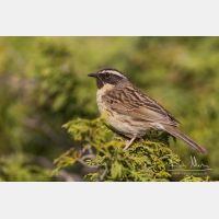 5184 x 3456_Px _RM_140515_MG_1463.jpg