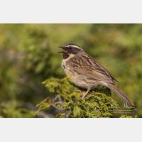 5184 x 3456_Px _RM_140515_MG_1468.jpg