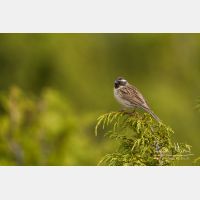 5184 x 3456_Px _RM_140609_MG_9765.jpg