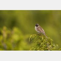 5184 x 3456_Px _RM_140609_MG_9774.jpg