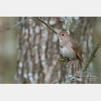 4607 x 3071_Px _RM_140426_MG_0107_b.jpg