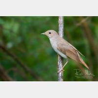 5817 x 3878_Px _RM_140529_MG_9255_b.jpg