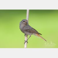 3415 x 2276_Px _RM_100528_MG_3563.jpg