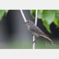 3603 x 2402_Px _RM_100528_MG_3478.jpg