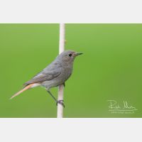 3603 x 2402_Px _RM_100528_MG_3500.jpg