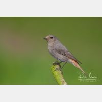 3639 x 2426_Px _RM_100528_MG_3513.jpg