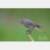 3650 x 2434_Px _RM_100528_MG_3526.jpg