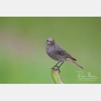 3823 x 2549_Px _RM_100528_MG_3530.jpg