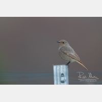 3875 x 2584_Px _RM_120325_MG_7430.jpg