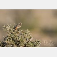 4193 x 2796_Px _RM_130213_MG_7601.jpg