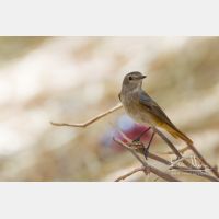 4320 x 2880_Px _RM_141031_MG_9986.jpg