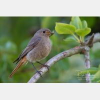 4595 x 3063_Px _RM_140624_MG_9848.jpg