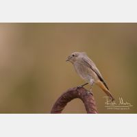 4686 x 3124_Px _RM_131019_MG_1778.jpg