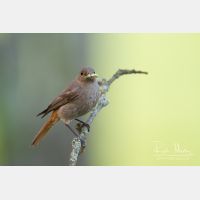 4698 x 3132_Px _RM_140624_MG_9834.jpg