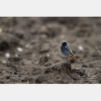 4796 x 3198_Px _RM_130329_MG_0504.jpg