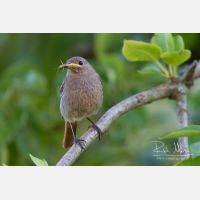 4806 x 3204_Px _RM_140624_MG_9844.jpg