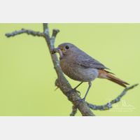 4840 x 3226_Px _RM_140624_MG_9858.jpg