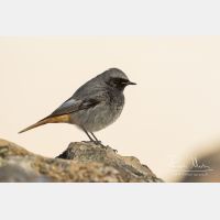 4863 x 3242_Px _RM_150209_MG_6371.jpg