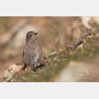 4977 x 3318_Px _RM_150210_MG_8853.jpg