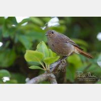 5007 x 3338_Px _RM_140624_MG_9855.jpg