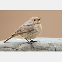 5080 x 3386_Px _RM_150522_MG_1263.jpg