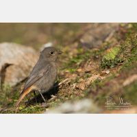 5127 x 3418_Px _RM_150210_MG_8818.jpg