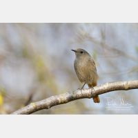 5184 x 3456_Px _RM_120325_MG_7552.jpg