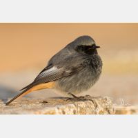 5336 x 3557_Px _RM_150209_MG_6909.jpg