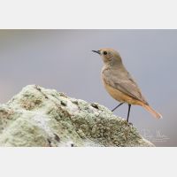 5472 x 3648 Px   _RM_180516__D2_3071.jpg