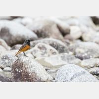 5472 x 3648 Px   _RM_180516__D2_3293.jpg