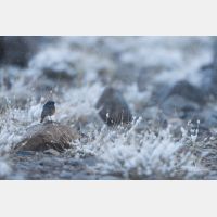 5472 x 3648 Px   _RM_180518__D2_4220.jpg