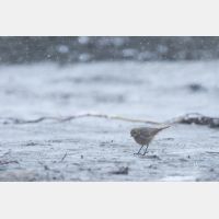 5472 x 3648 Px   _RM_180518__D2_4302.jpg