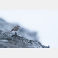 5472 x 3648 Px   _RM_180518__D2_4305.jpg