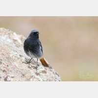 5472 x 3648 Px   _RM_190124_Q4A5530.jpg