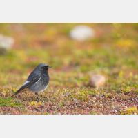 5760 x 3840 Px   _RM_190123_13A5687.jpg