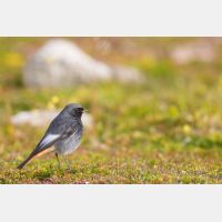 5760 x 3840 Px   _RM_190123_13A5690.jpg