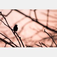 6720 x 4480 Px   _RM_190331_D4_3511.jpg