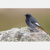 6934 x 4623 Px   _RM_190124_Q4A5560_bA-2.jpg