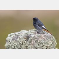 6934 x 4623 Px   _RM_190124_Q4A5560_bA.jpg