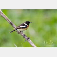 4530 x 3020_Px _RM_140530_MG_9330.jpg