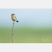 4713 x 3142 Px   _RM_190626_D2_9635.jpg