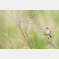 4841 x 3228 Px   _RM_190615_D2_9449.jpg