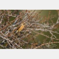 4910 x 3273_Px _RM_140514_MG_1151.jpg