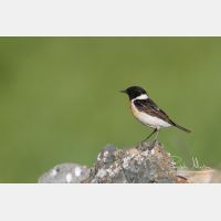 4922 x 3281_Px _RM_140518_MG_2516.jpg